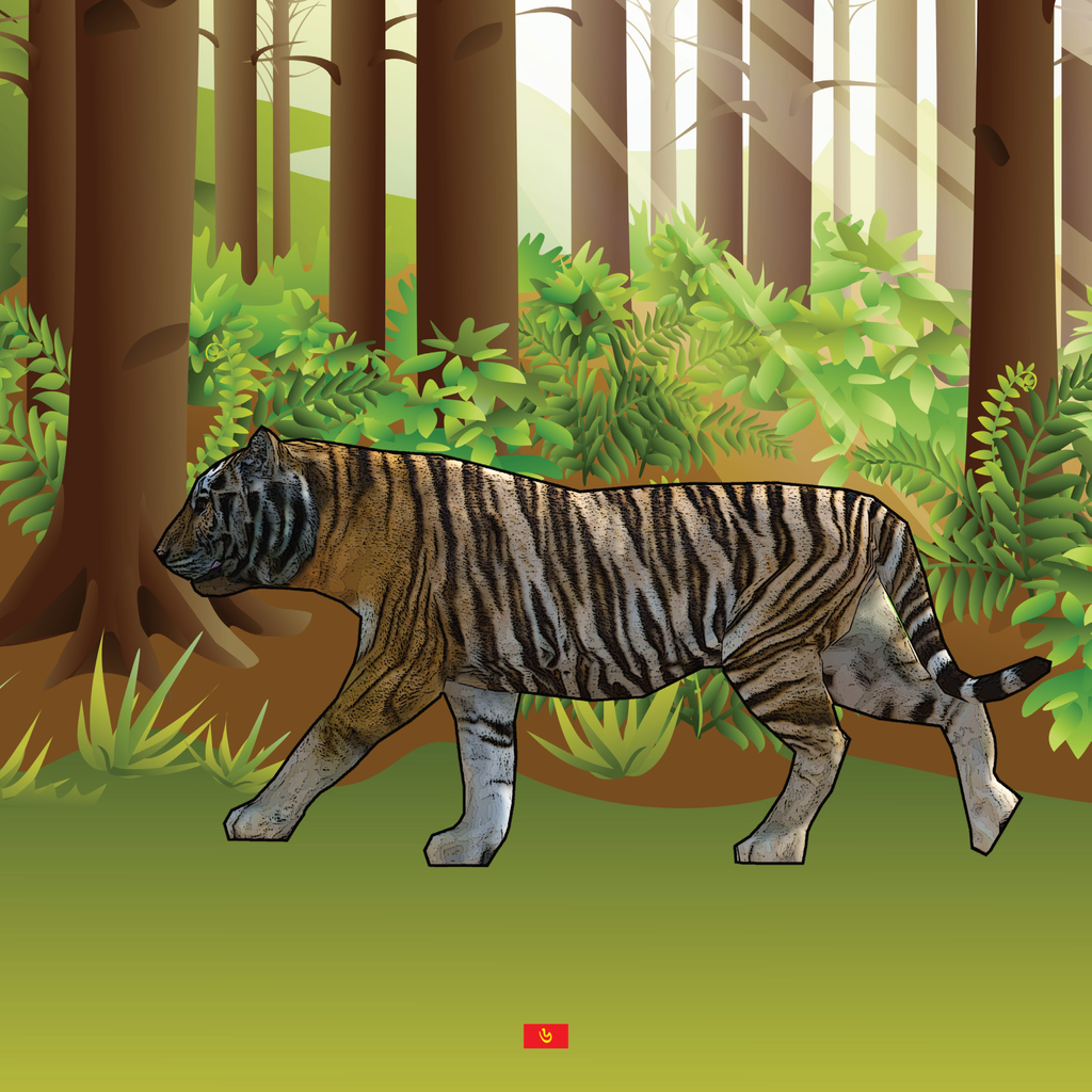 লাইভ আকিঁবুকি6.jpg