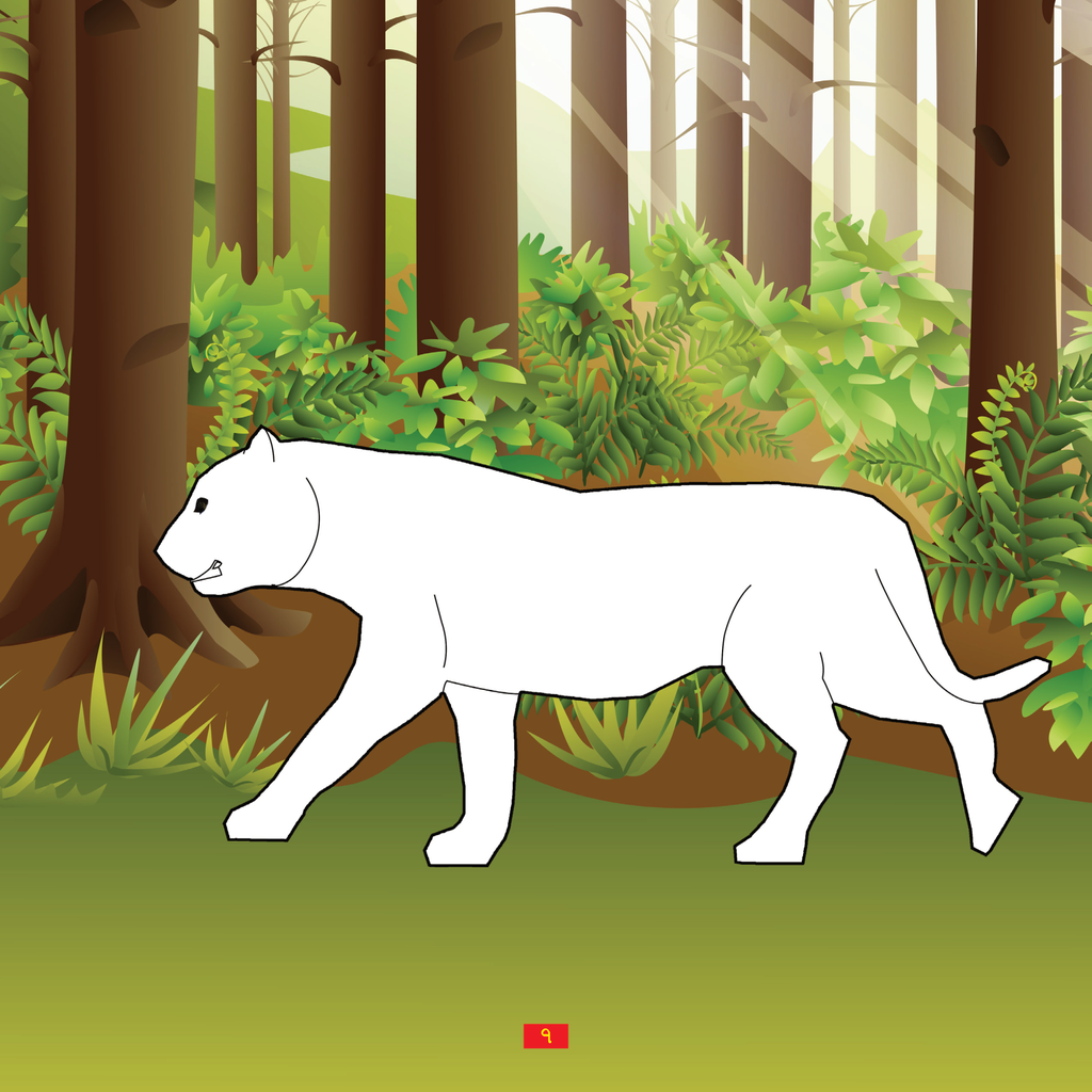 লাইভ আকিঁবুকি7.jpg