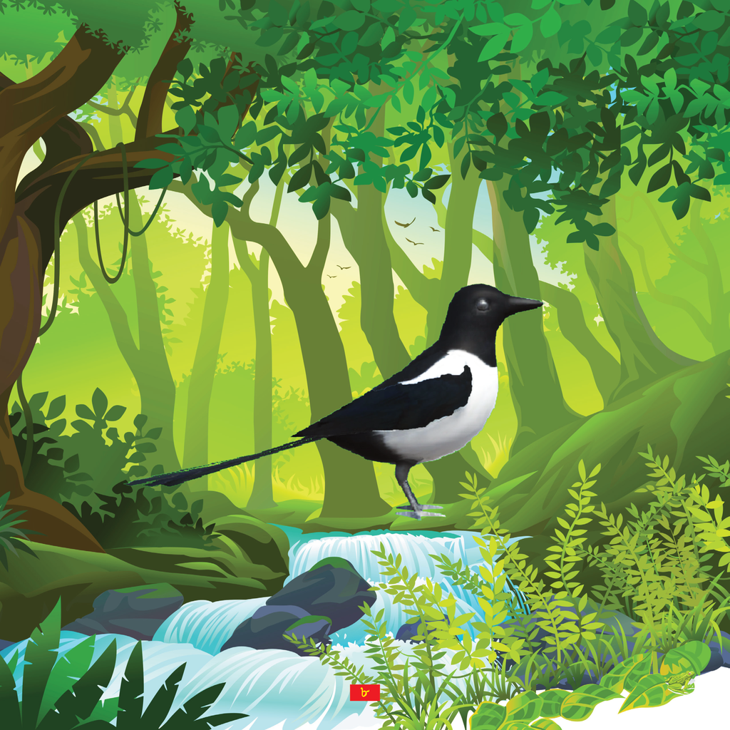 লাইভ আকিঁবুকি8.jpg